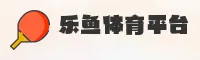 使用指南与常见问题